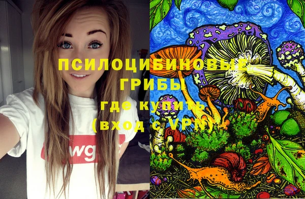 спиды Алексин