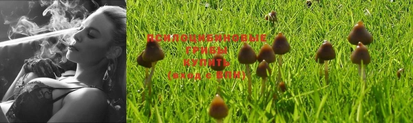 гашишное масло Алексеевка