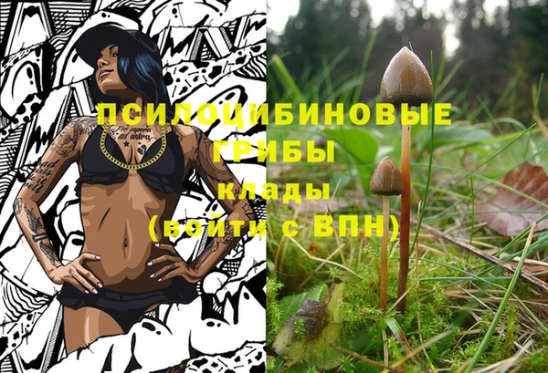 гашишное масло Алексеевка