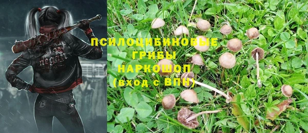 спиды Алексин